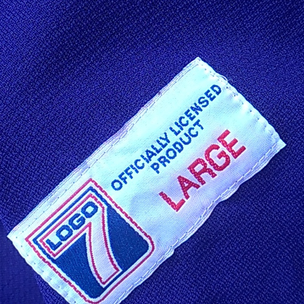 🏈 Vikings JERSEY  #14 Brad Johnson Vintage FootBall Sz Large Minnesota EPLVC - Picture 11 of 15
